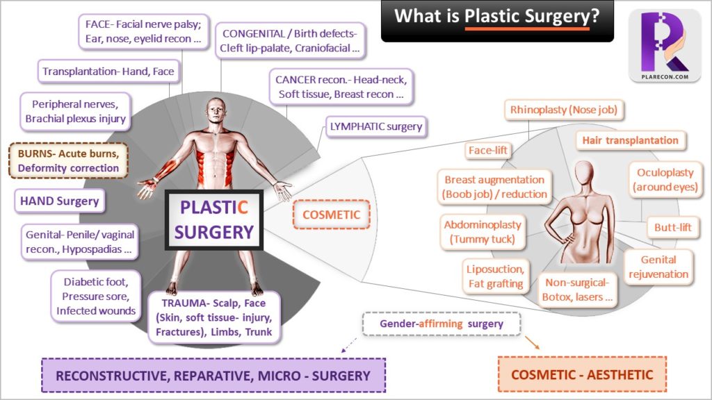 Scope of plastic surgery