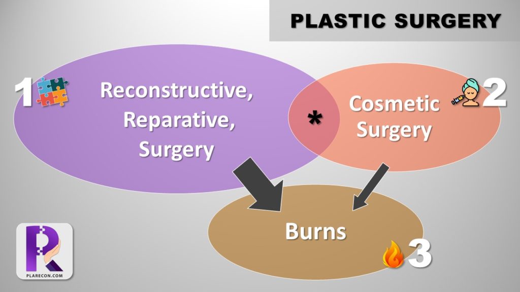 Broad divisions of Plastic Surgery