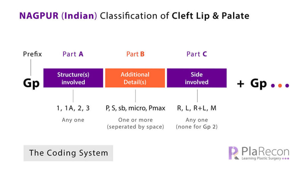 Nagpur Indian classification system cleft lip palate