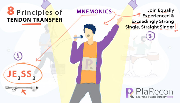 Tendon transfer mnemonics